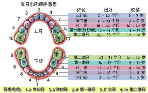 揭开宝宝出牙晚的奥秘,六大因素要