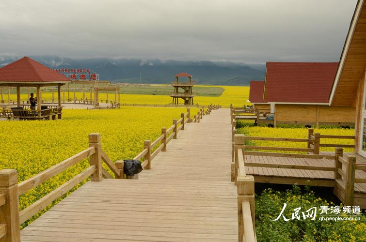 万亩油菜基地,"中国最美乡村公路"双油菜花,道源圣城秘法养生一日