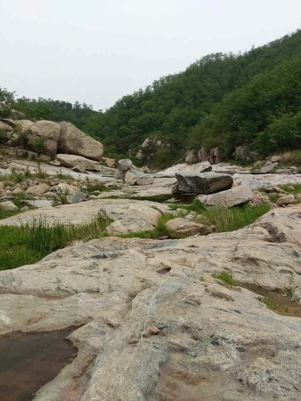 临朐黑松林风景区