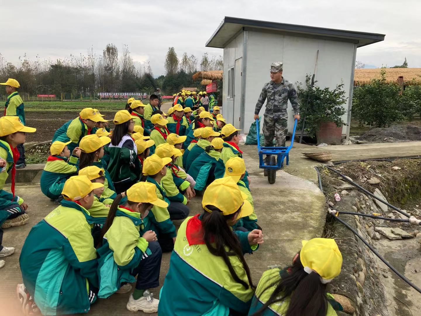 鞍山大西街小学图片